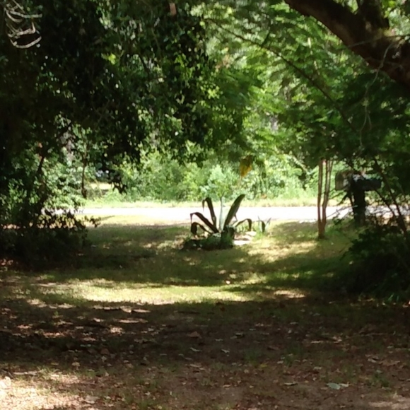 myersmadness run by mendysmadness - Picture 2 of 4